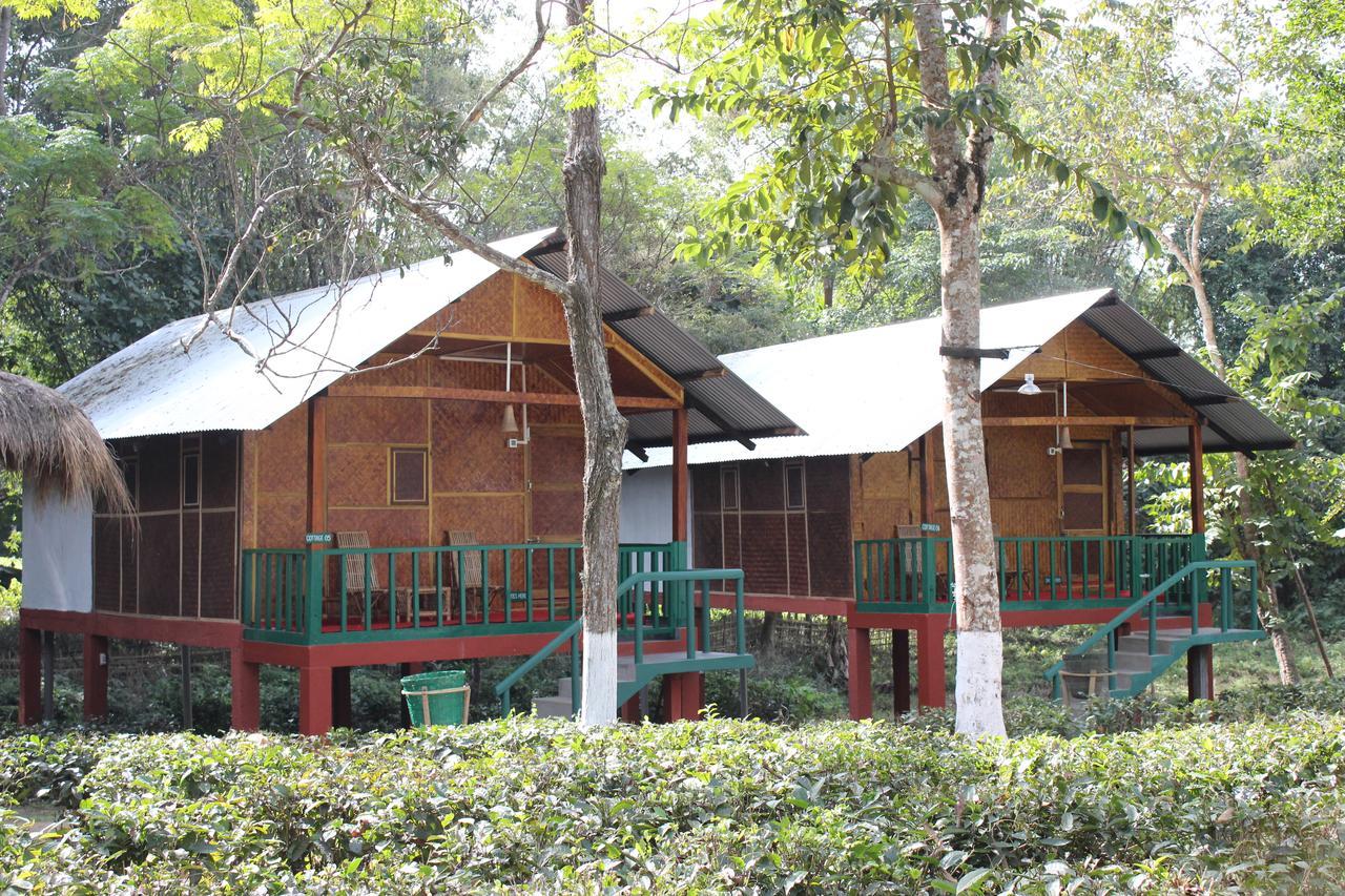 Nature Hunt Eco Camp Kāziranga Esterno foto