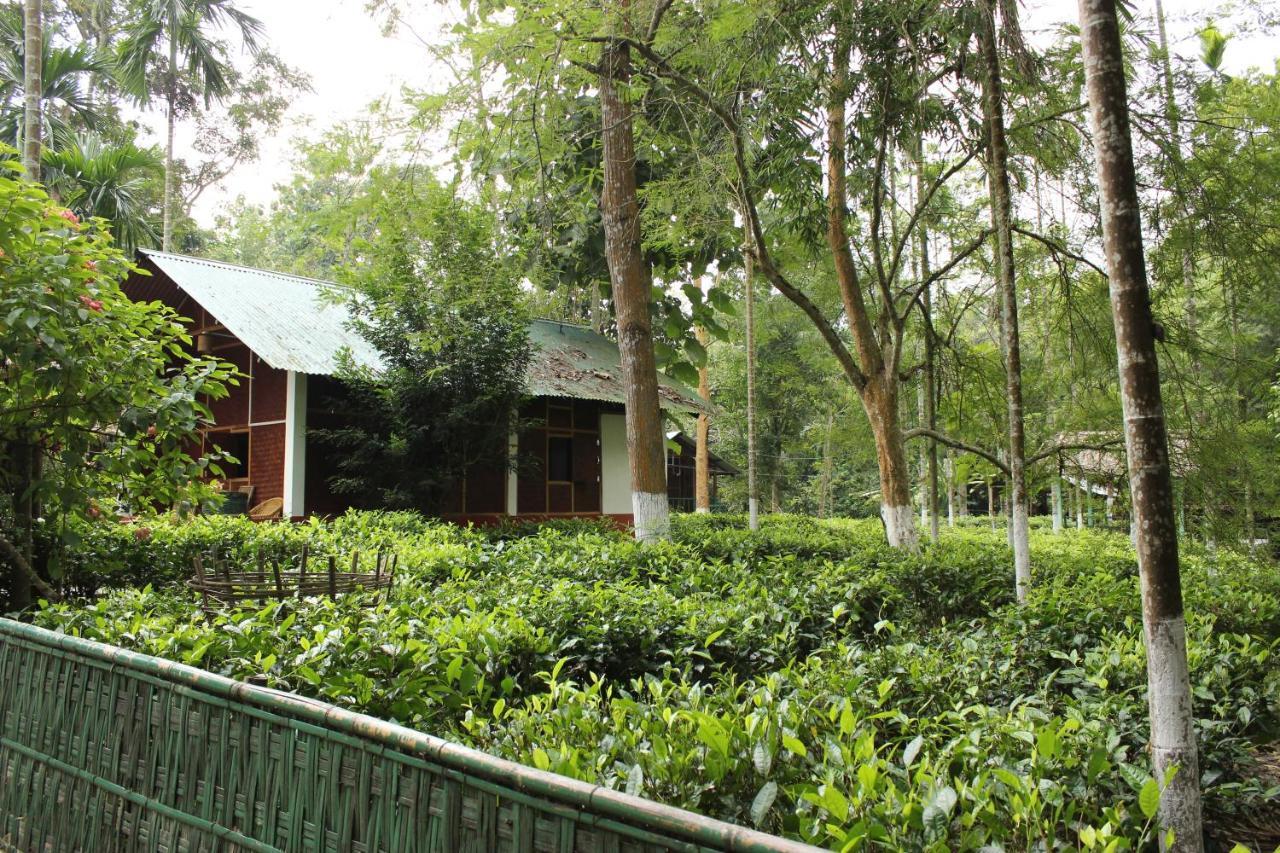 Nature Hunt Eco Camp Kāziranga Esterno foto