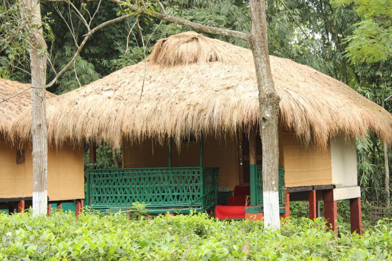 Nature Hunt Eco Camp Kāziranga Esterno foto