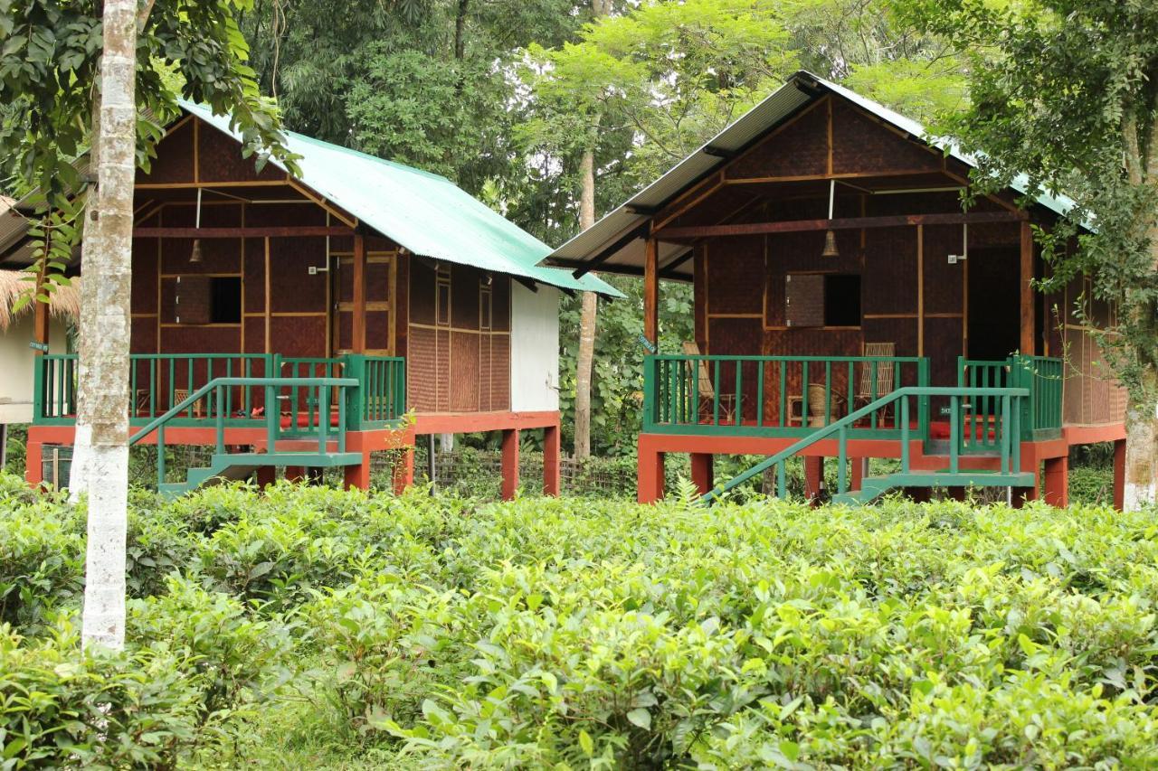 Nature Hunt Eco Camp Kāziranga Esterno foto